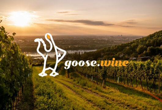 goose.wine is the name of the new umbrella brand for the wine business at ncdh Group AG.