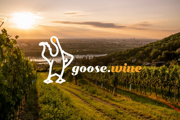 Read more about the article We are goose.wine